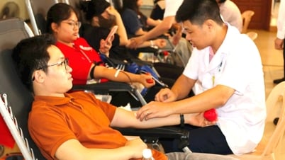 7 localités de Hai Duong ont dépassé l'objectif annuel de don de sang volontaire