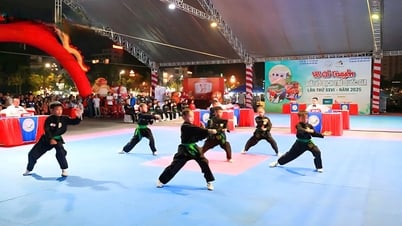 ក្បាច់គុន​វៀតណាម​ចែងចាំង​លើ​មេឃ​ខៀវ​ថាញ់​ហ្វា​