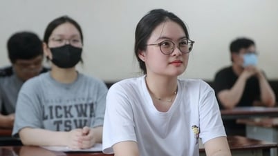 No more sample essays, how to improve social argumentative essay scores?