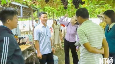La industria turística de Ninh Thuan recibe a más de 2,29 millones de visitantes