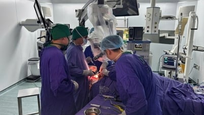 Hội nghị khoa học lĩnh vực phẫu thuật thần kinh