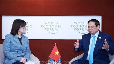 Le Premier ministre Pham Minh Chinh travaille avec les sociétés Siemens et PepsiCo