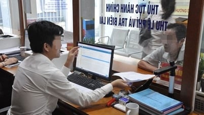 2026년 5월 31일까지 지방자치단체 내 비전문 근로자 사용 한시 연장
