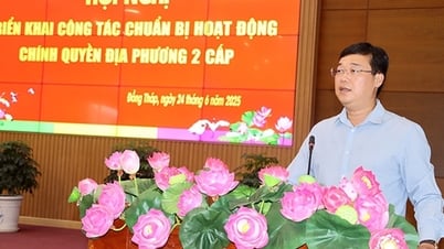 ด่งทับและเฮาซางเร่งเตรียมดำเนินการรูปแบบรัฐบาล 2 ระดับ
