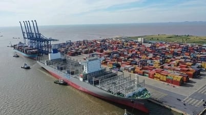 Saigon Port (SGP) will mehr als 5,15 Millionen Aktien von Vietnam Maritime (MSB) verkaufen