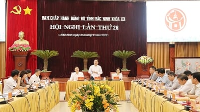 Hội nghị lần thứ 26 Ban Chấp hành Đảng bộ tỉnh khóa XX