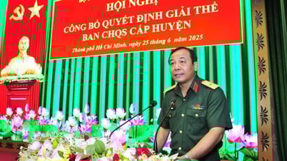 Le commandement de Ho Chi Minh-Ville a annoncé la dissolution du commandement militaire du district.