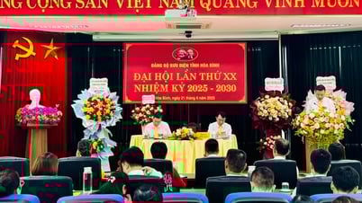 การประชุมใหญ่คณะกรรมการพรรคครั้งที่ 20 ของที่ทำการไปรษณีย์จังหวัดหว่าบิ่ญ วาระปี 2025-2030: ความสามัคคี - ประชาธิปไตย - วินัย - การพัฒนา