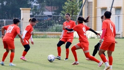 جدول مباريات منتخب فيتنام للسيدات في التصفيات الآسيوية: البث الحصري على أي قناة؟