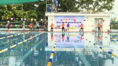 Altersgruppen-Schwimmmeisterschaft der Provinz Kon Tum 2025