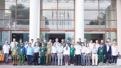 Tiền Giang: Đưa 30 cựu chiến binh tham quan Côn Đảo