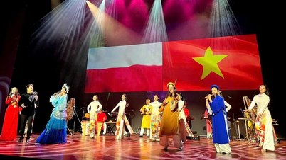 វប្បធម៌វៀតណាមមានវត្តមានយ៉ាងខ្លាំងនៅក្នុងសារមន្ទីរអាស៊ីប៉ាស៊ីហ្វិក