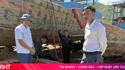 Nhan nhản cơ sở đóng tàu không phép