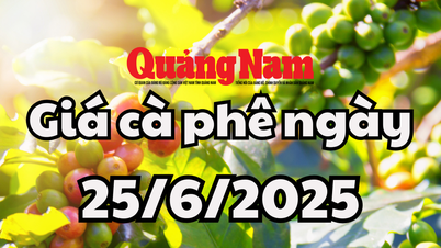 Giá cà phê hôm nay 25/6/2025 lao "bung nóc" qua mốc 100.000 đồng/kg