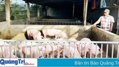 Разбогатейте в разных отраслях