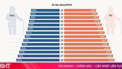 เปรียบเทียบจำนวนปีของการส่งเงินสมทบประกันสังคมและอัตราเงินบำนาญ
