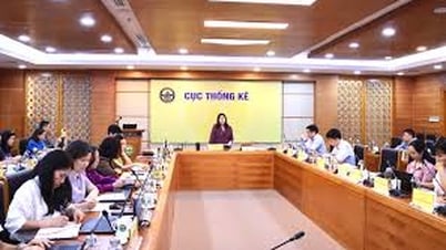 Hướng dẫn biên soạn các chỉ tiêu kinh tế - xã hội phục vụ đại hội đảng bộ cấp tỉnh, cấp xã sau sáp nhập