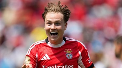 Bayern Munich shockingly lost to Benfica, losing top spot