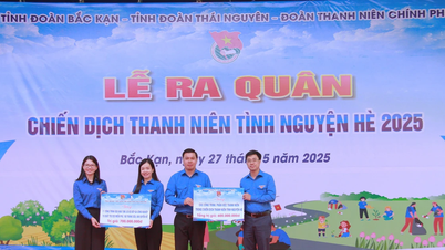 យុវជន សាមគ្គីភាព សកម្មសម្រាប់សម័យអន្តរកាល