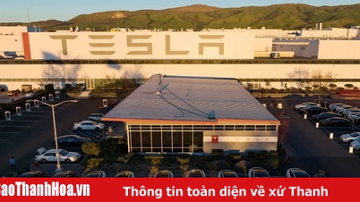 Doanh số Tesla tại châu Âu giảm dù thị trường xe điện phục hồi