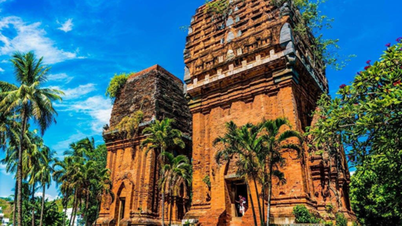 Vì sao tour Quy Nhơn và Phú Yên được săn đón mùa hè này?