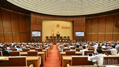 Hội đồng Bầu cử quốc gia gồm 19 thành viên
