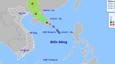 Dernières nouvelles sur la dépression tropicale en mer de l'Est