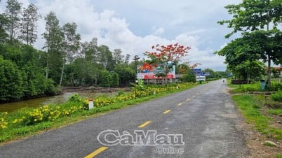 Bừng sáng nông thôn mới vùng cực Nam