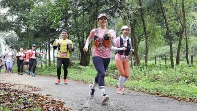 スポーツイベントを通じた遺産観光の促進