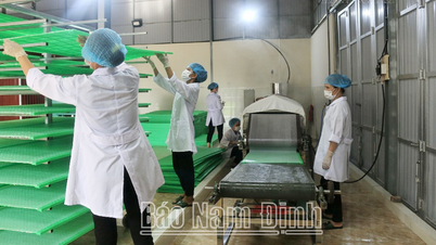 Performance of non-agricultural cooperatives