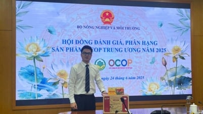 Quang Ninh hat 3 weitere nationale 5-Sterne-OCOP-Produkte