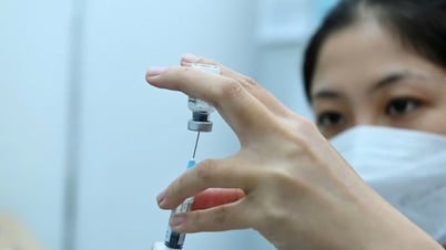 La fiebre del dengue en Ciudad Ho Chi Minh está aumentando con más de 500 casos por semana y muchos niños se encuentran en estado crítico.