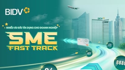 قروض تفضيلية للشركات مع BIDV SME Fast Track