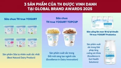 TH true YOGURT បញ្ជាក់ពីជំហររបស់ខ្លួននៅក្នុងកម្មវិធី Global Brand Awards 2025