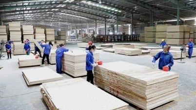 Efforts to achieve wood export turnover of 18 billion USD