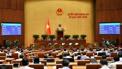 En 2026, la Asamblea Nacional supervisará la implementación de las políticas y regímenes de seguro social.