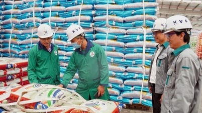 PVCFC s'engage à ne pas augmenter ses prix, malgré l'augmentation des importations de matériaux