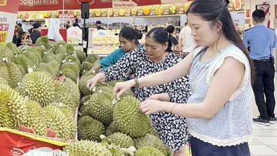 Increase consumer demand for Vietnamese goods in the summer