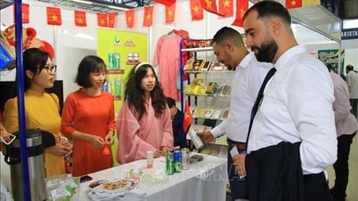 Werbung für vietnamesische Produkte auf der Algier International Fair 2025