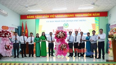 Bình Tân đạt chuẩn xã nông thôn mới nâng cao năm 2024