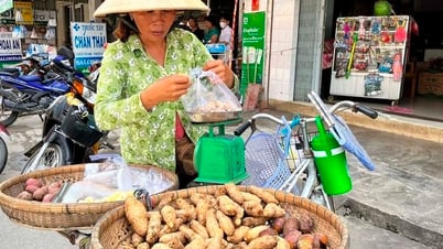 اتبع كشك التخصص