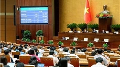Quốc hội thông qua nhiều luật sửa đổi, nghị quyết quan trọng