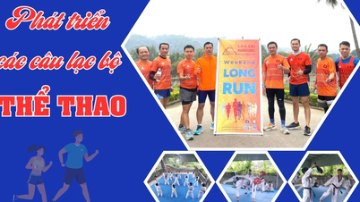 Phát triển các câu lạc bộ thể thao
