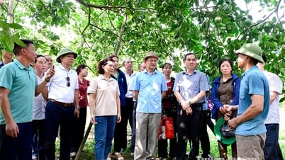 Sustainable development of fruit growing areas