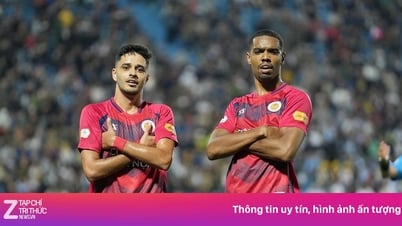 صيغة استخدام اللاعبين الأجانب البرازيليين في الدوري البرازيلي