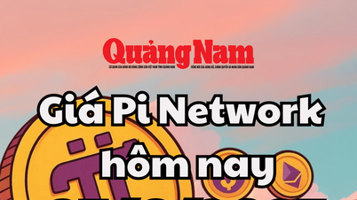 Pi Network-Preis heute, 25. Juni 2025: Enthüllung des SparkKitty Cryptocurrency Wallet Hunter