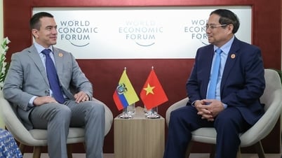 الرئيس الإكوادوري: معجب للغاية بالإنتاج الزراعي في فيتنام وقدرات التعليم في مجالات العلوم والتكنولوجيا والهندسة والرياضيات