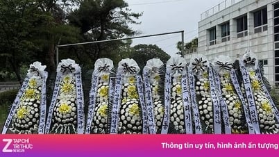 Đội của Lingard gặp biến lớn