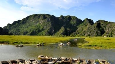 'Vịnh không sóng' ở Ninh Bình đẹp hoang sơ, có loài quý hiếm bậc nhất thế giới