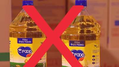 Aceite Ofood a partir de piensos: Revelando el negocio involucrado en la línea de un billón de dólares